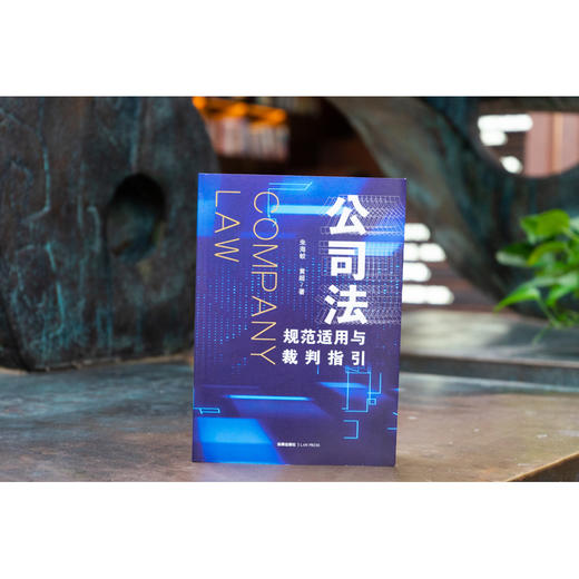 朱海蛟 x 黄超品联袂出品 •「公司法规范适用与裁判指引」丨全面覆盖公司设立 x 公司资本 x 公司股东 x 公司治理东 x 公司变更 x 公司终止 商品图2