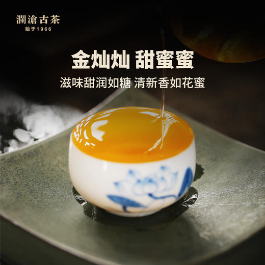 澜沧古茶2019年景迈春香普洱茶生茶云南七子饼茶叶古树老树357g 商品图3