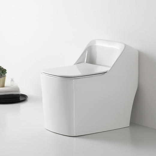 SQ：0491马桶（脲醛盖板） 商品图5