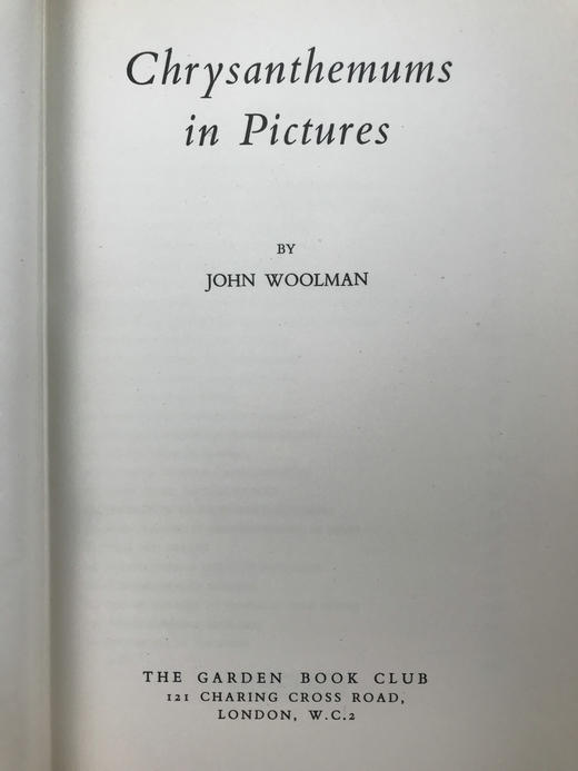 菊花栽培与鉴赏图集 约80幅插图 精装大32开 商品图2