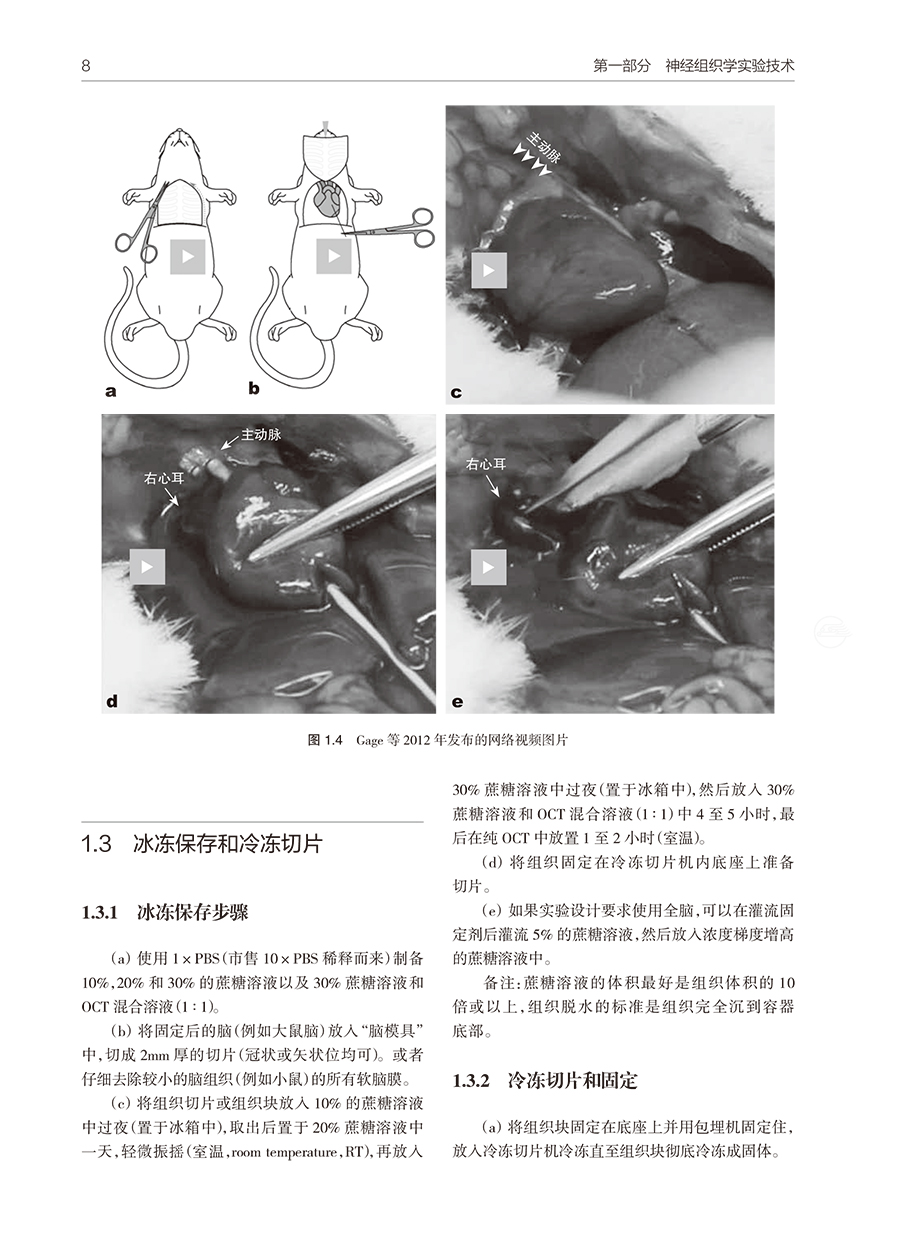 31567(yz) (6).jpg