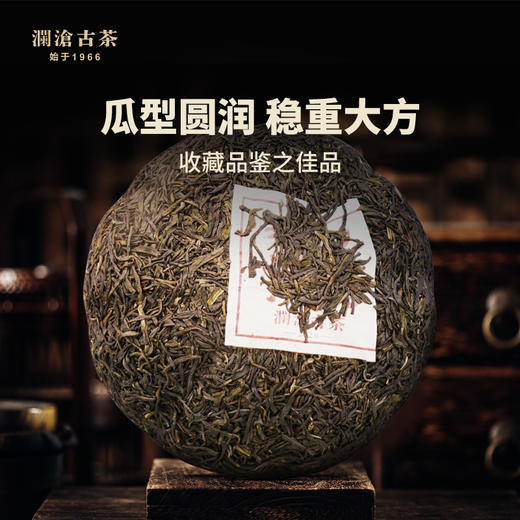 澜沧古茶2020年紫龙瑞贡紫芽茶普洱生茶金瓜茶叶500g 商品图1