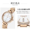 1楼COACH/蔻驰PARK系列经典钢带蝴蝶扣石英手表女士腕表 商品缩略图5