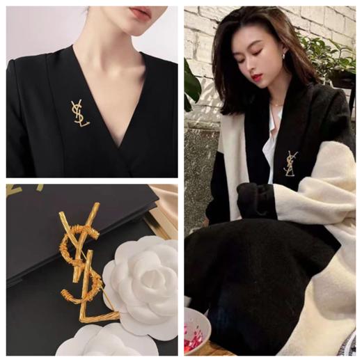 价值5000+ ys家金属logo胸针 百搭实用 永不过时 自带古着风 随意西装 自带高级感 气场十足 提升档次！可做发饰/胸针/项链/当扣子/颈饰 预售 商品图0