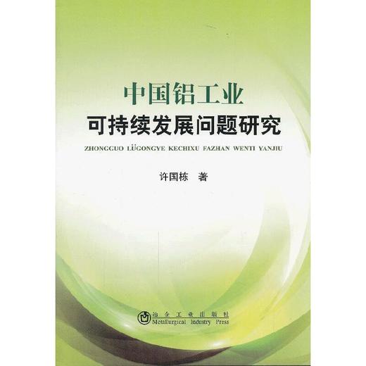 中国铝工业可持续发展问题研究/许国栋 商品图0
