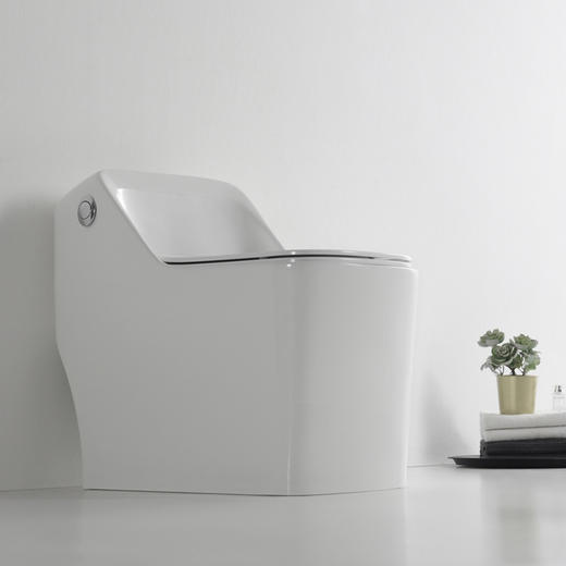 SQ：0491马桶（脲醛盖板） 商品图3