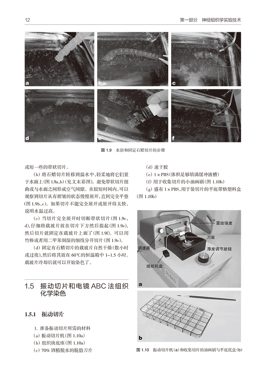 31567(yz) (10).jpg