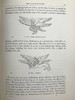 1879年 詹姆森夫人《神圣与传奇艺术》（卷1） 百余幅版画插图 皮脊精装大32开 商品缩略图8