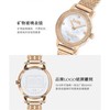 1楼COACH/蔻驰AUDREY系列质感母贝表盘手表女士钢表链腕表复古小金表 商品缩略图4