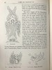 1879年 詹姆森夫人《神圣与传奇艺术》（卷1） 百余幅版画插图 皮脊精装大32开 商品缩略图9