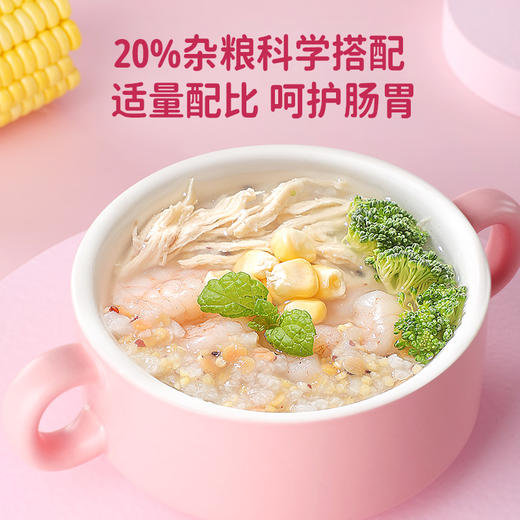 窝小芽营养粥一周米50g*7包 商品图4