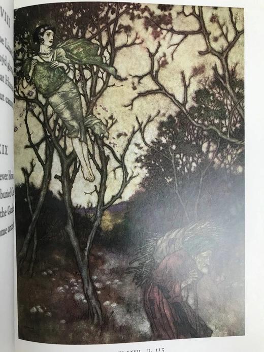 鲁拜集 杜拉克12幅彩色插图 精装18开 商品图9