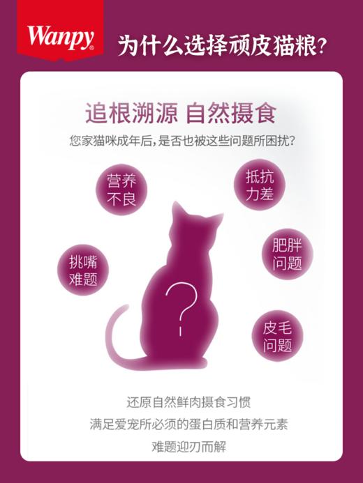 顽皮鸡肉/三文鱼双鲜冻干猫粮 商品图3