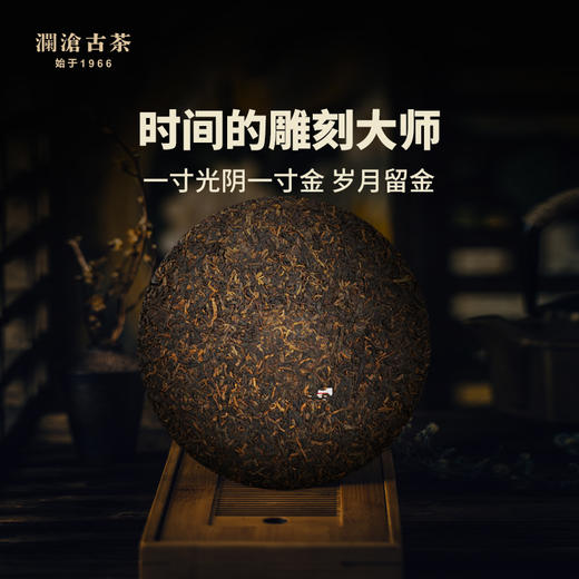 澜沧古茶2019岁月留金古树普洱茶熟茶云5年陈云南七子饼茶叶357g 商品图5