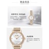 1楼COACH/蔻驰AUDREY系列质感母贝表盘手表女士钢表链腕表复古小金表 商品缩略图3