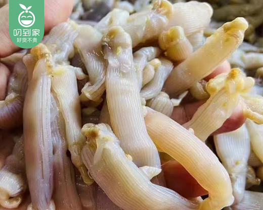 鲜冻去脏海捕沙虫（约250g/盒） 商品图1