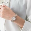 1楼COACH/蔻驰PARK系列经典钢带蝴蝶扣石英手表女士腕表 商品缩略图1