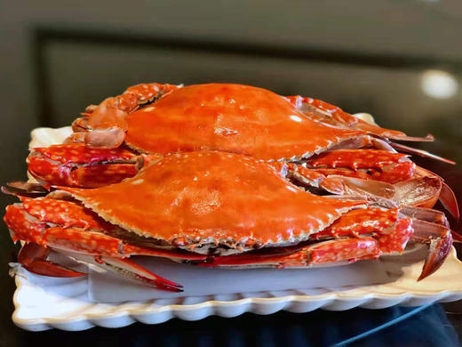 【海味】舟山梭子蟹  3斤装5斤装  码头直发到手更新鲜 商品图3