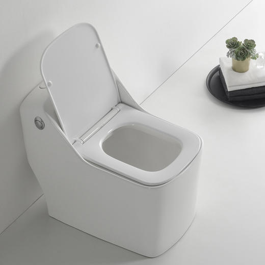 SQ：0491马桶（脲醛盖板） 商品图4