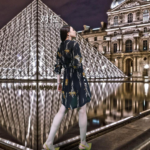 集拉米卡SQS8PA_真丝裙_ZK 商品图2