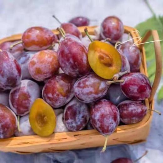 法兰西梅 商品图2