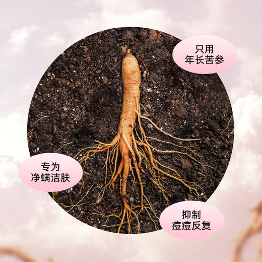 【买3送2】 HZ小泡敷氨基酸洁面皂 多重植物精华 温和清洁控油 110g/盒 商品图5