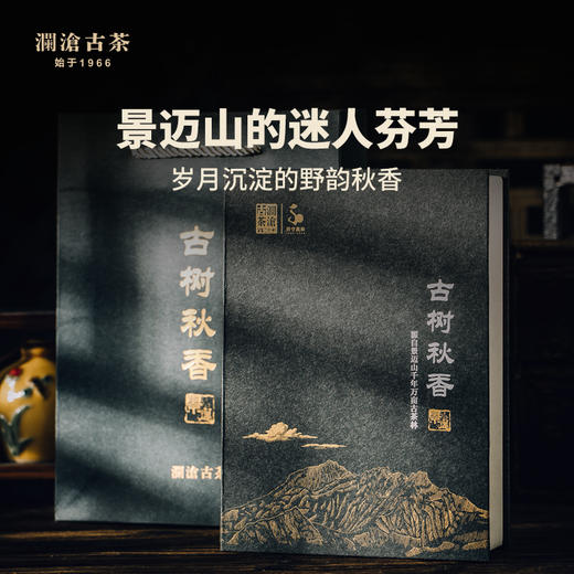 【积分兑换】澜沧古茶古树秋香2016普洱茶生茶饼景迈古树秋茶250g茶叶 商品图4
