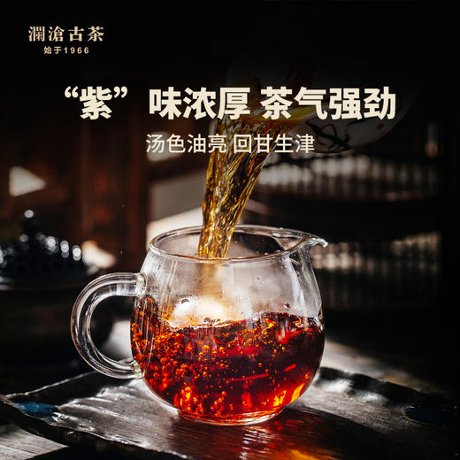 澜沧古茶2019年紫龙瑞贡金瓜熟茶紫芽古树普洱茶熟普500g云南茶叶 商品图4