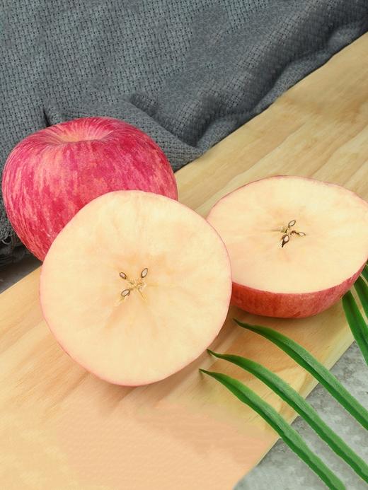 烟台富士苹果 商品图2