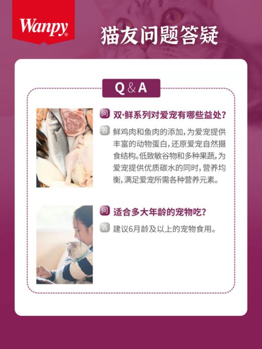 顽皮鸡肉/三文鱼双鲜冻干猫粮 商品图4