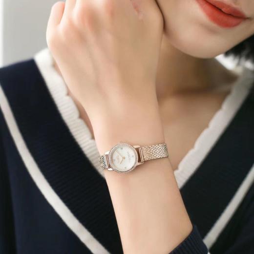 1楼COACH/蔻驰AUDREY系列质感母贝表盘手表女士钢表链腕表复古小金表 商品图1