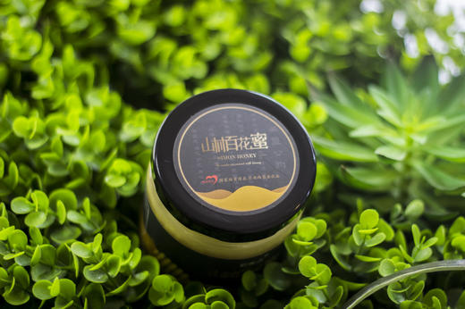 云南彩蜜坊 山林百花蜜300g 商品图2