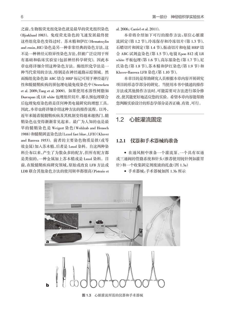31567(yz) (4).jpg