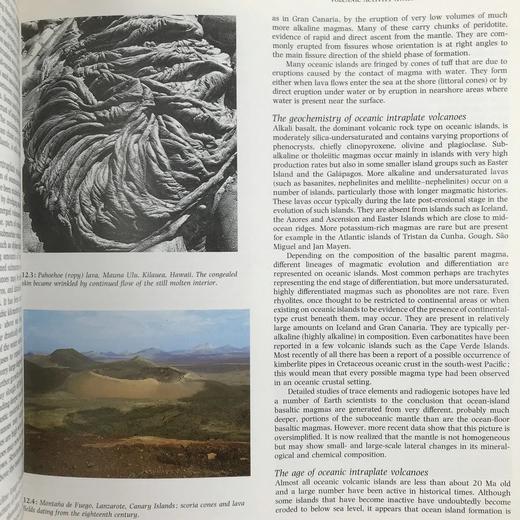 剑桥地球科学百科全书 数百幅插图 精装16开 商品图7