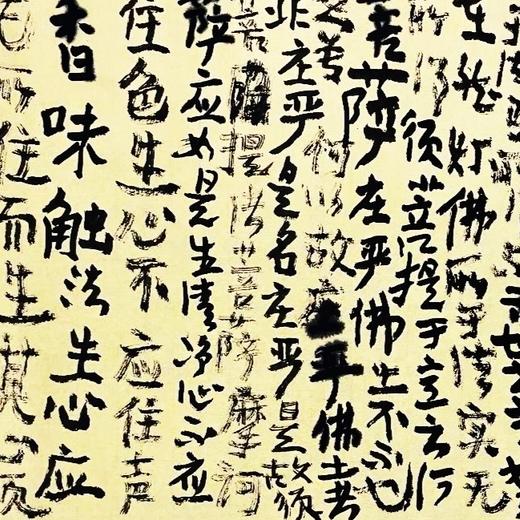 曾翔书法·《金刚般若波罗蜜经》庄严净土分第十 商品图3