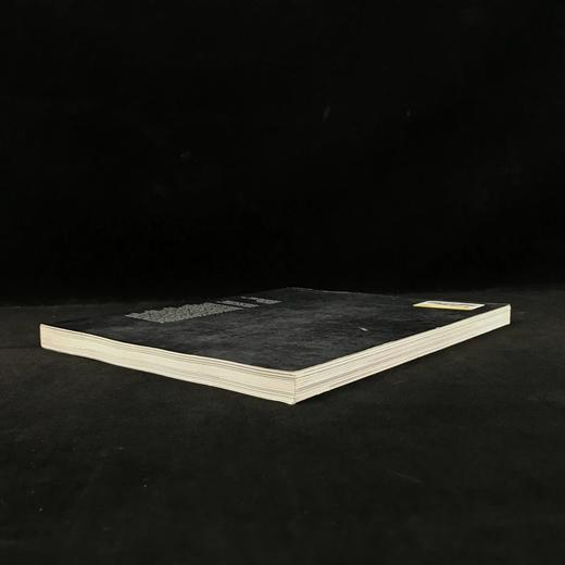 当代室内壁画图集 124幅插图 平装大16开 商品图2