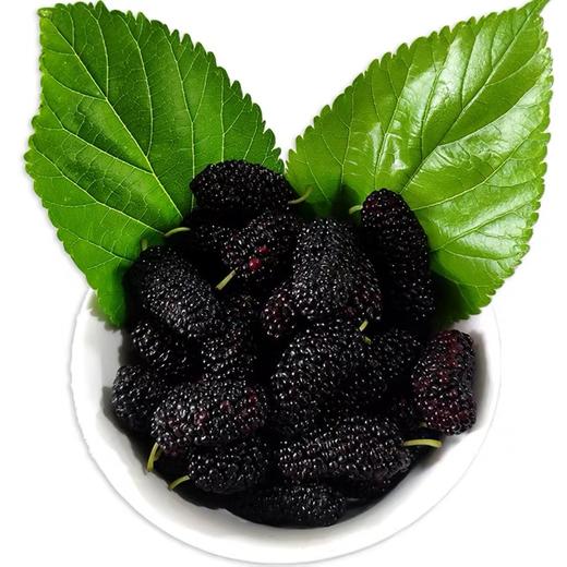 【自营】桑椹酒礼盒（375ml*2支）100%桑椹鲜果发酵 商品图3