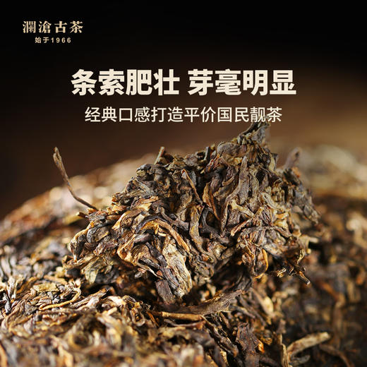 澜沧古茶2014年荒野大饼普洱茶生茶10年陈老生普云南七子饼茶叶357g 商品图2