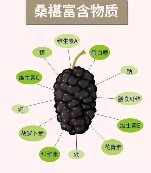【自营】桑椹酒礼盒（375ml*2支）100%桑椹鲜果发酵 商品图4