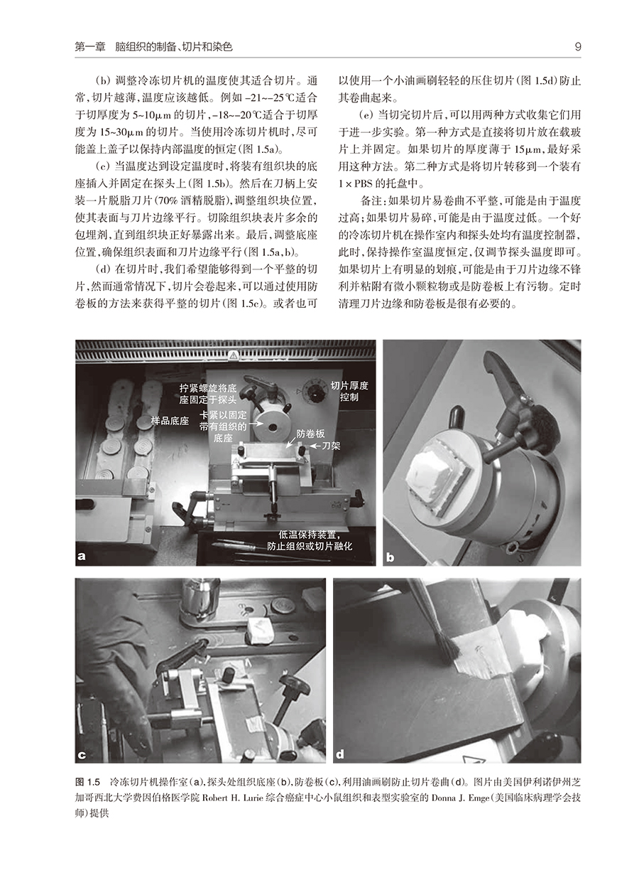 31567(yz) (7).jpg