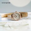 1楼COACH/蔻驰AUDREY系列质感母贝表盘手表女士钢表链腕表复古小金表 商品缩略图2