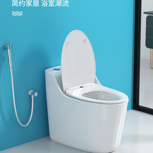 SQ：5032飞雁马桶-全白 商品图2