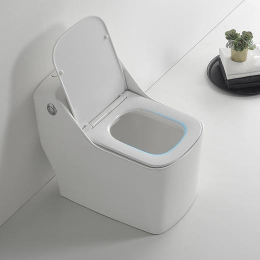 SQ：0491马桶（脲醛盖板） 商品图1