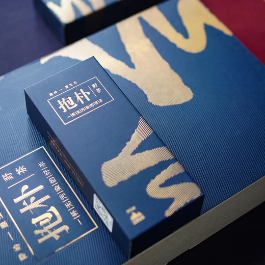 隐岭·抱朴 商品图2