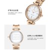 1楼COACH/蔻驰PARK系列经典钢带蝴蝶扣石英手表女士腕表 商品缩略图8
