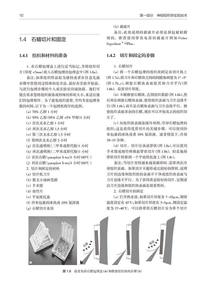 31567(yz) (8).jpg