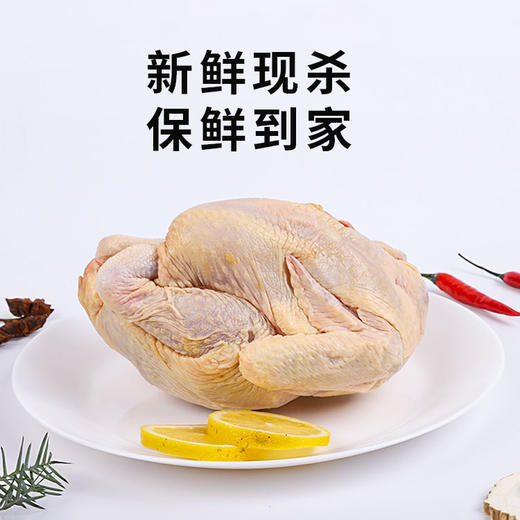 【秒杀】散养矮山溪土鸡（绿色食品）2.2斤左右/只 商品图1