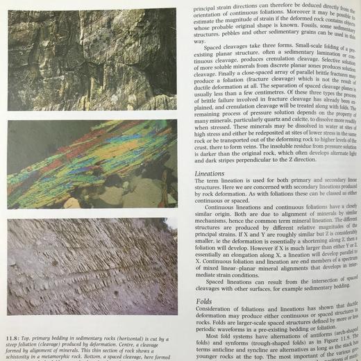 剑桥地球科学百科全书 数百幅插图 精装16开 商品图8