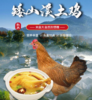 【秒杀】散养矮山溪土鸡（绿色食品）2.2斤左右/只 商品缩略图0