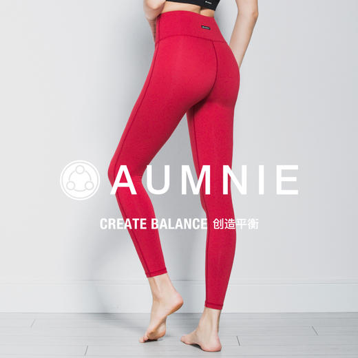 全配色 | 高腰九分裤 HIGH WAIST ANKLE CROPS 商品图4